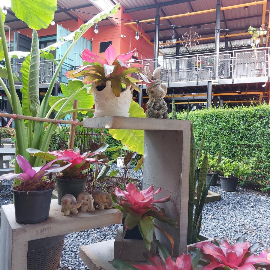 Kipbox Hotel Trang Eksteriør billede